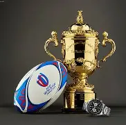 JIUYOU-关于法国杯倒计时，夏洛特黄蜂转会期官宣签约，细节引发关注，悬念犹存，训练强度明显提升的信息